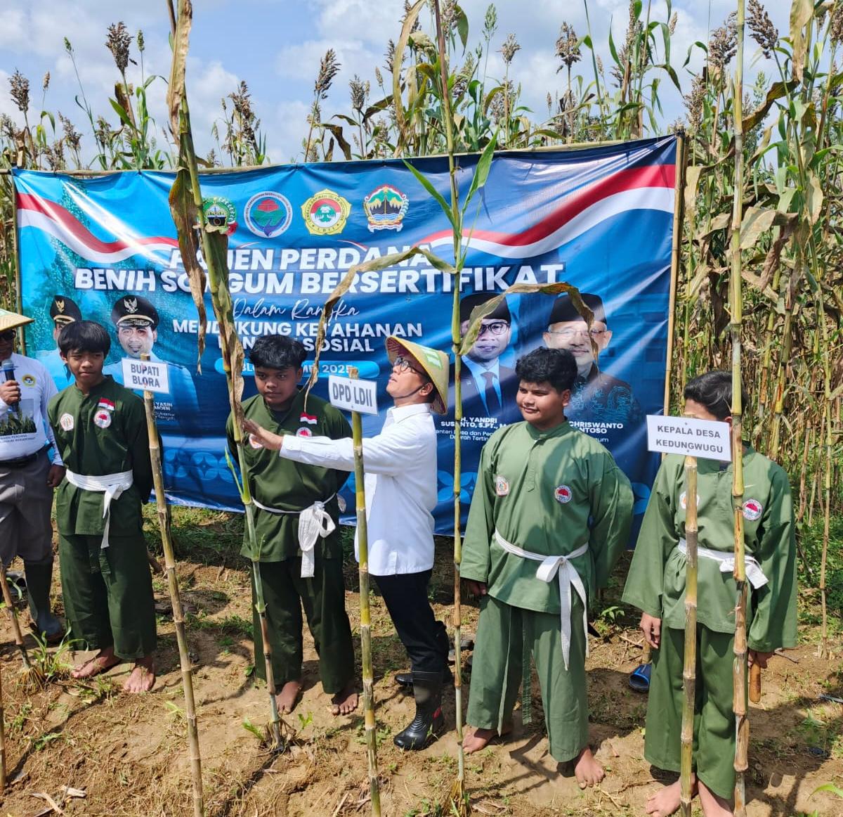 Blora Didukung Jadi Pusat Pengembangan Sorgum Nasional